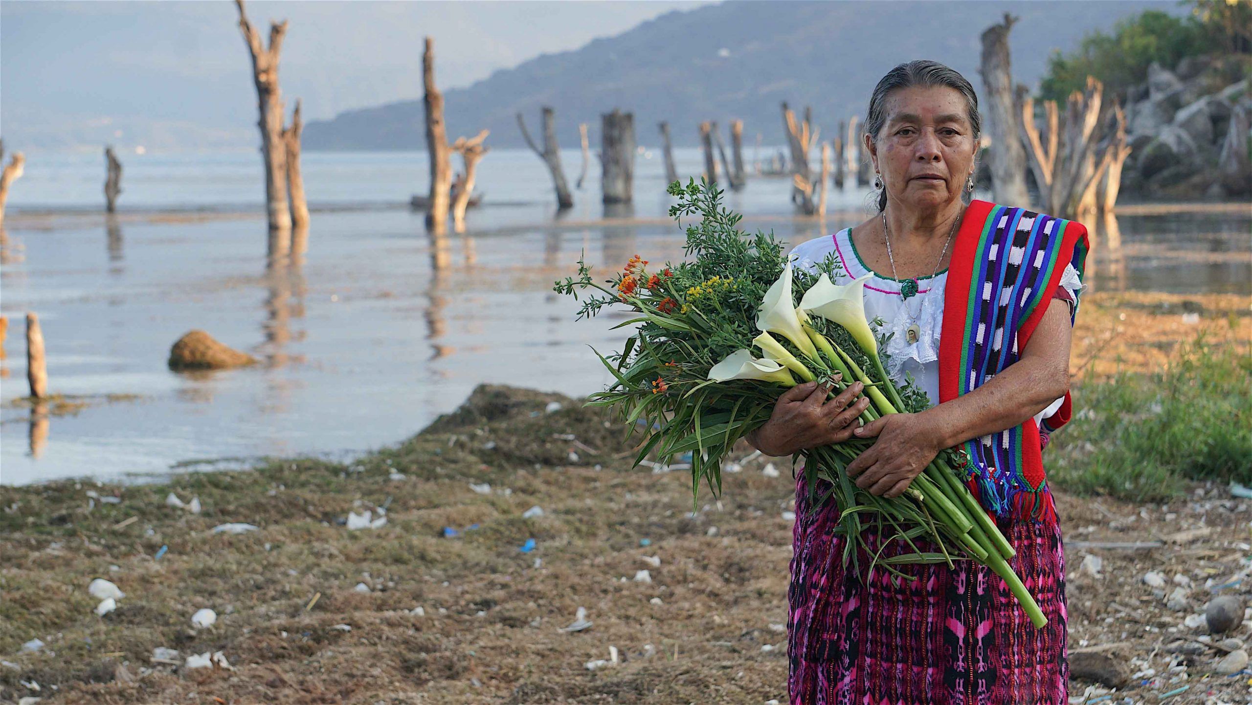School-Spanish-Guatemala-San-Pedro-La-Laguna