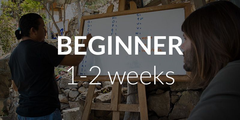 learn1 Spanish School San Pedro La Laguna